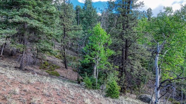 783 Bennett Drive, Cripple Creek, CO 80813