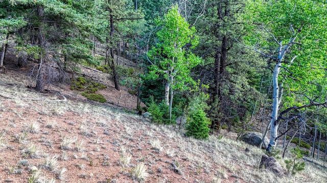 783 Bennett Drive, Cripple Creek, CO 80813