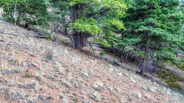 783 Bennett Drive, Cripple Creek, CO 80813