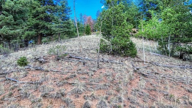 783 Bennett Drive, Cripple Creek, CO 80813