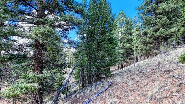 783 Bennett Drive, Cripple Creek, CO 80813