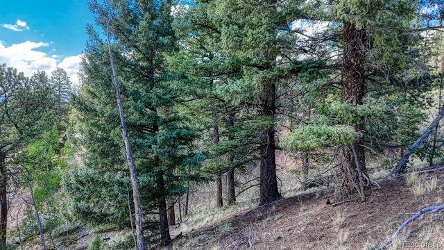 783 Bennett Drive, Cripple Creek, CO 80813