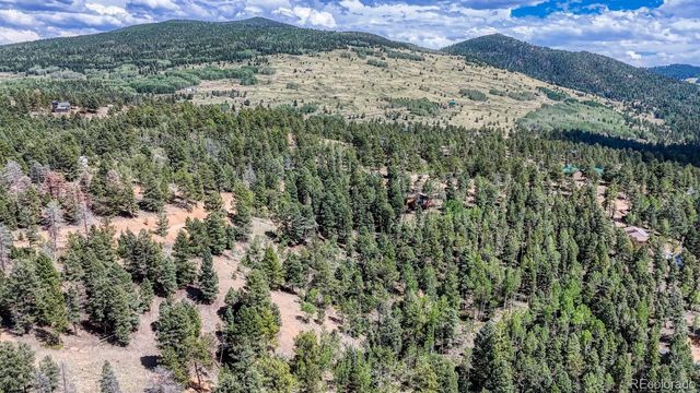 783 Bennett Drive, Cripple Creek, CO 80813