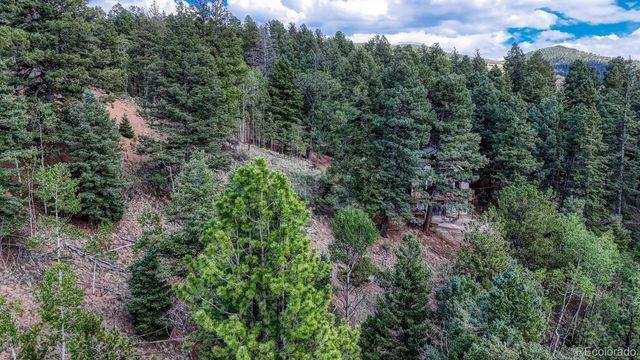 783 Bennett Drive, Cripple Creek, CO 80813