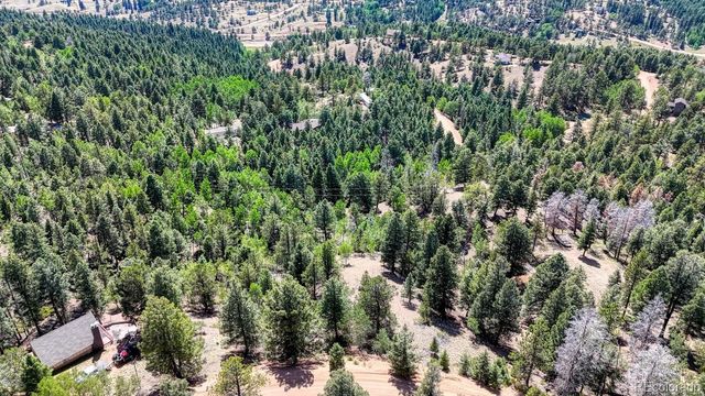 783 Bennett Drive, Cripple Creek, CO 80813