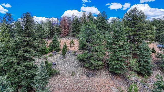 783 Bennett Drive, Cripple Creek, CO 80813