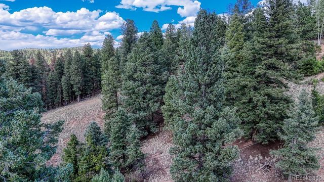 783 Bennett Drive, Cripple Creek, CO 80813