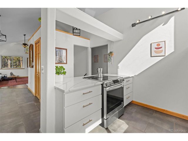 1110 Circle 73, Fairplay, CO 80440