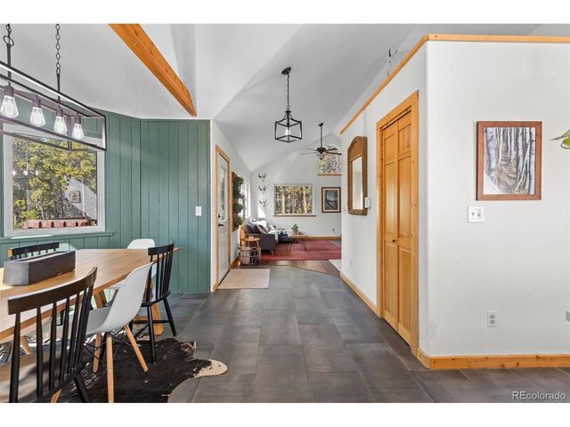 1110 Circle 73, Fairplay, CO 80440