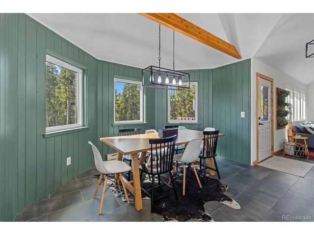 1110 Circle 73, Fairplay, CO 80440