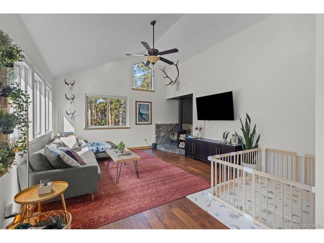 1110 Circle 73, Fairplay, CO 80440