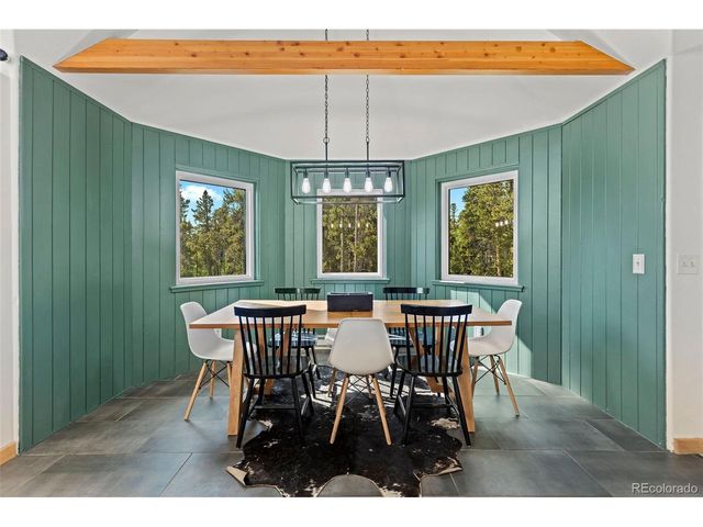 1110 Circle 73, Fairplay, CO 80440