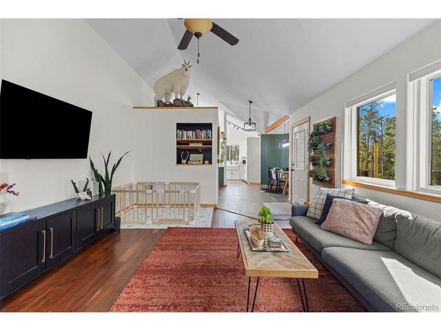 1110 Circle 73, Fairplay, CO 80440