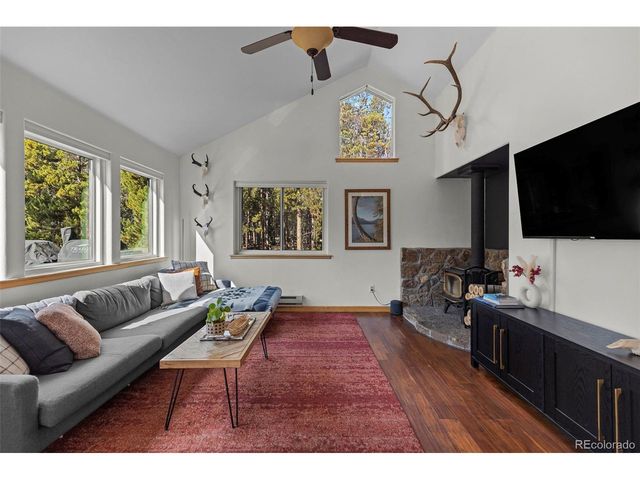 1110 Circle 73, Fairplay, CO 80440