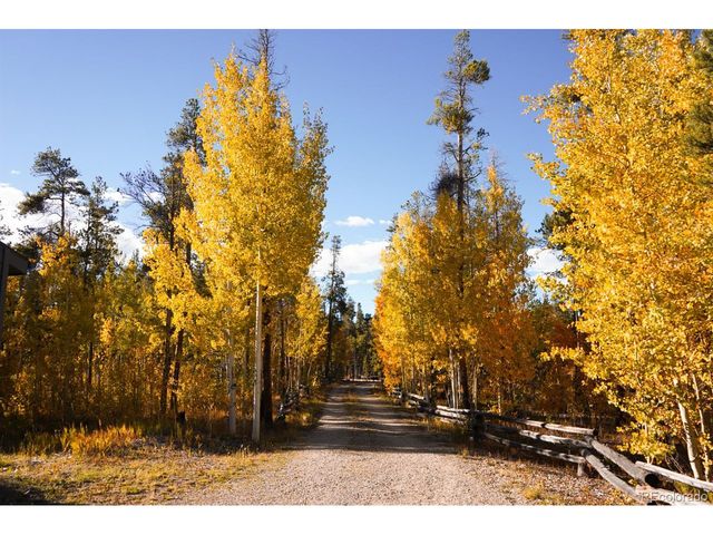 1110 Circle 73, Fairplay, CO 80440