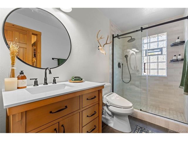 1110 Circle 73, Fairplay, CO 80440