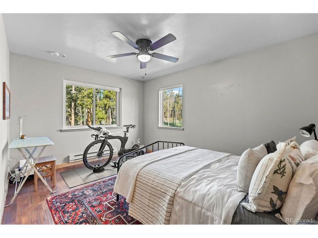 1110 Circle 73, Fairplay, CO 80440