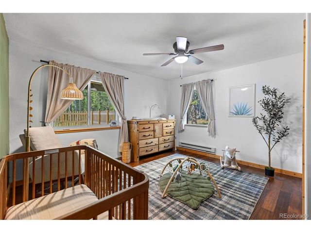 1110 Circle 73, Fairplay, CO 80440