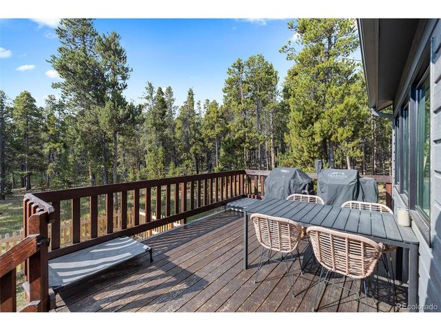 1110 Circle 73, Fairplay, CO 80440