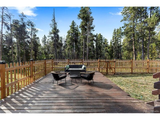 1110 Circle 73, Fairplay, CO 80440