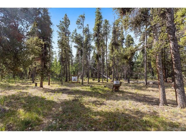 1110 Circle 73, Fairplay, CO 80440