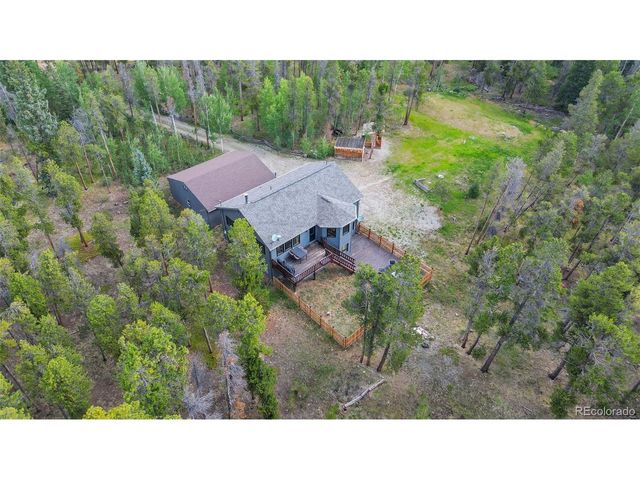 1110 Circle 73, Fairplay, CO 80440