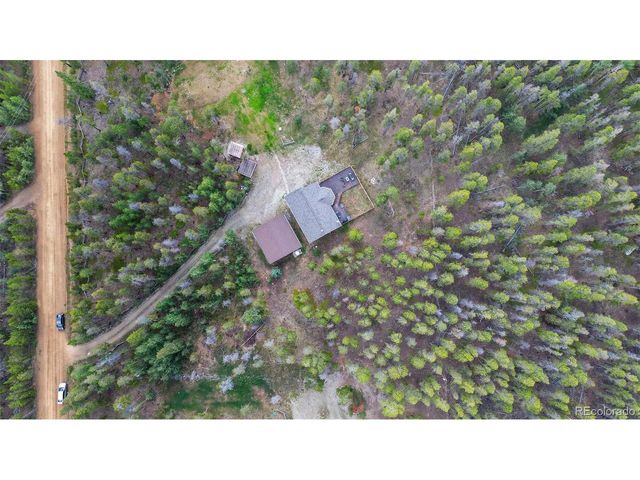 1110 Circle 73, Fairplay, CO 80440