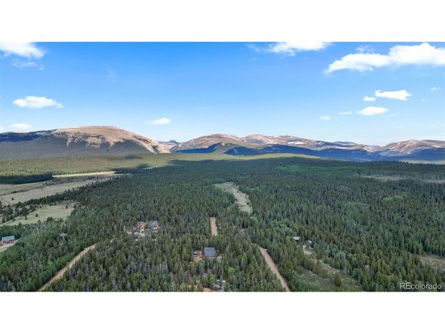 1110 Circle 73, Fairplay, CO 80440