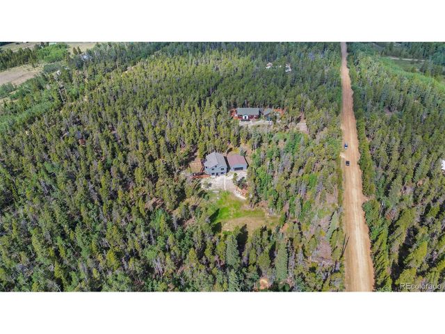 1110 Circle 73, Fairplay, CO 80440