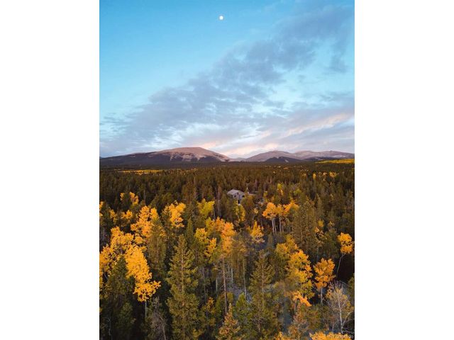 1110 Circle 73, Fairplay, CO 80440