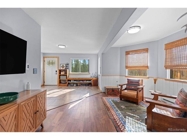 1110 Circle 73, Fairplay, CO 80440