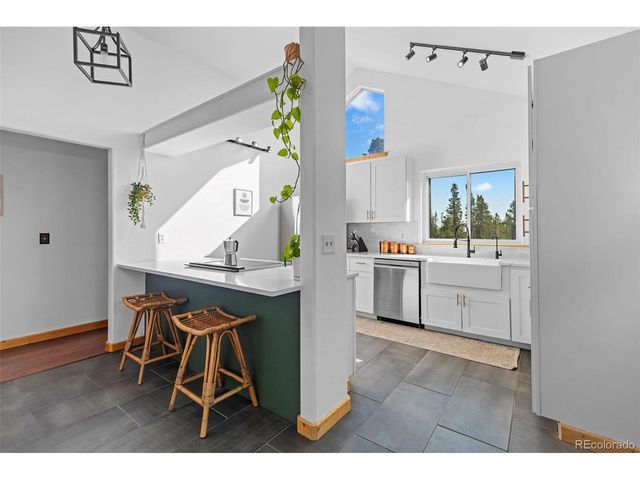 1110 Circle 73, Fairplay, CO 80440