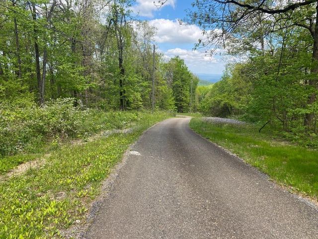 000 Burnt Mountain Cove Road, Jasper, GA 30143