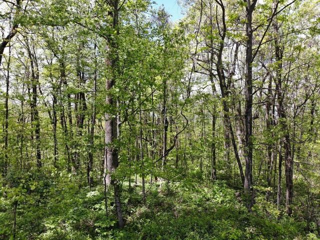 000 Burnt Mountain Cove Road, Jasper, GA 30143