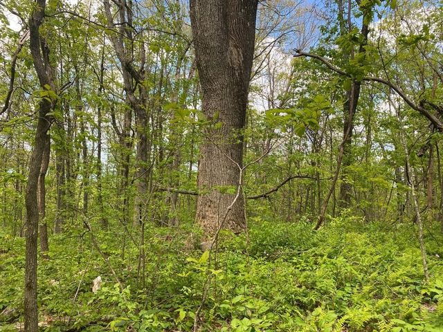 000 Burnt Mountain Cove Road, Jasper, GA 30143