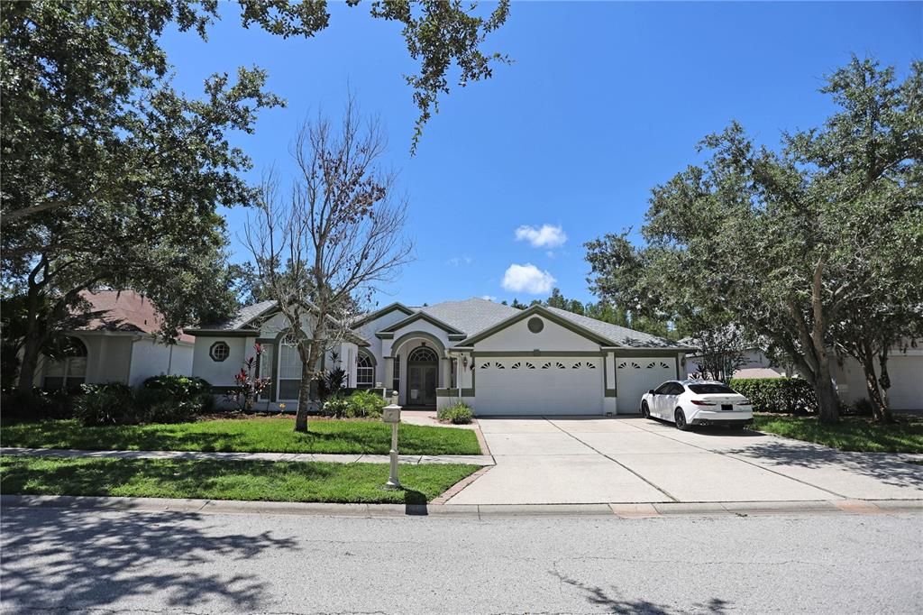 10206 SHADOW BRANCH DRIVE, Tampa, FL 33647