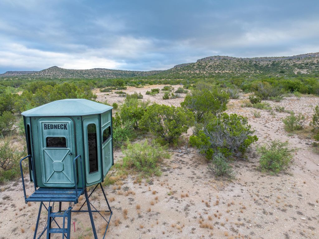 Image 19 of property listing at 3499 Big Bear Run, Ozona, TX 76943