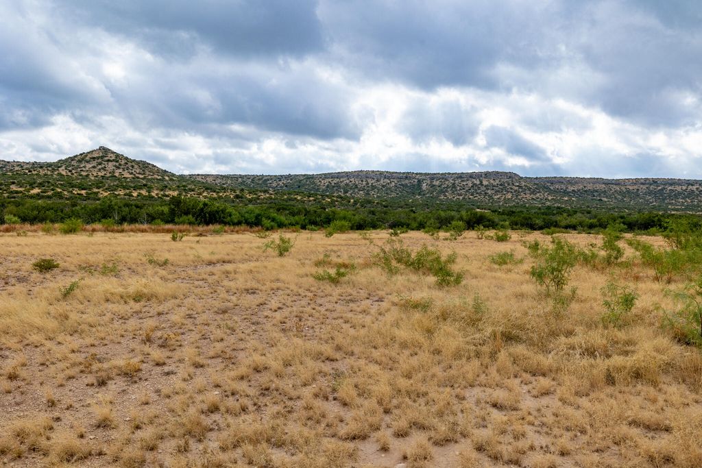 Image 25 of property listing at 3499 Big Bear Run, Ozona, TX 76943