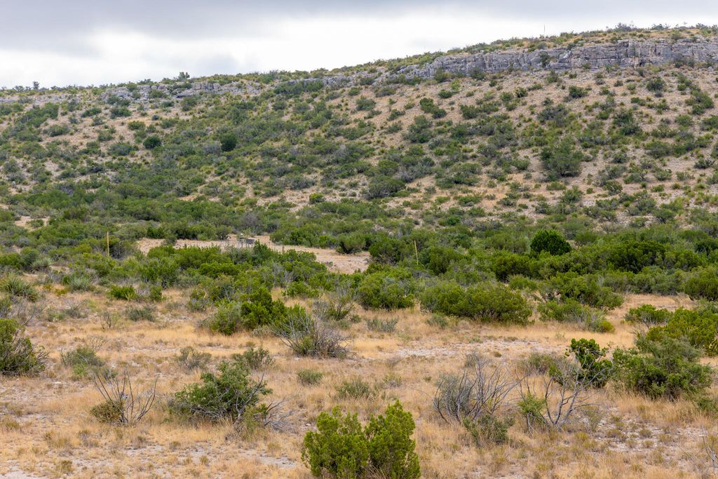 Image 30 of property listing at 3499 Big Bear Run, Ozona, TX 76943