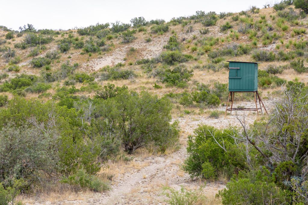 Image 34 of property listing at 3499 Big Bear Run, Ozona, TX 76943