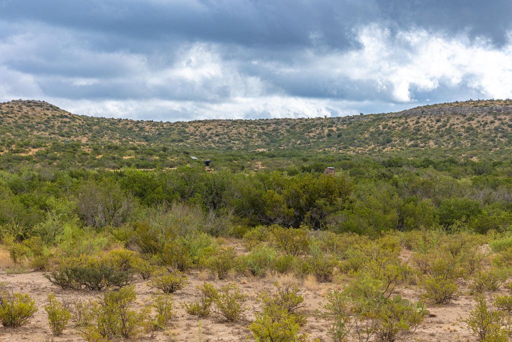 Image 38 of property listing at 3499 Big Bear Run, Ozona, TX 76943