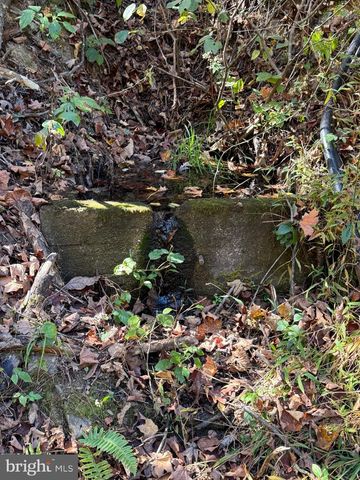 961 ALMOST HEAVEN DR, Petersburg, WV 26847