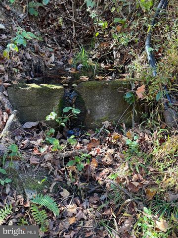 961 ALMOST HEAVEN DR, Petersburg, WV 26847