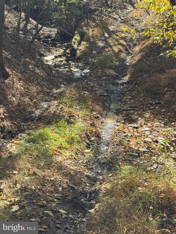 961 ALMOST HEAVEN DR, Petersburg, WV 26847