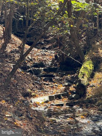 961 ALMOST HEAVEN DR, Petersburg, WV 26847