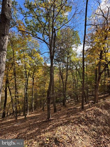 961 ALMOST HEAVEN DR, Petersburg, WV 26847