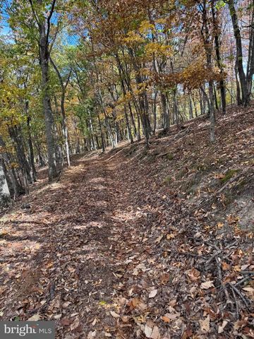 961 ALMOST HEAVEN DR, Petersburg, WV 26847