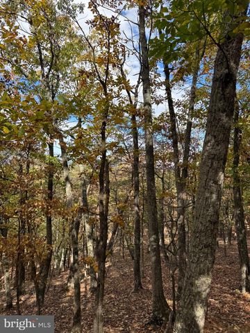 961 ALMOST HEAVEN DR, Petersburg, WV 26847