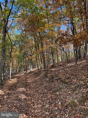 961 ALMOST HEAVEN DR, Petersburg, WV 26847