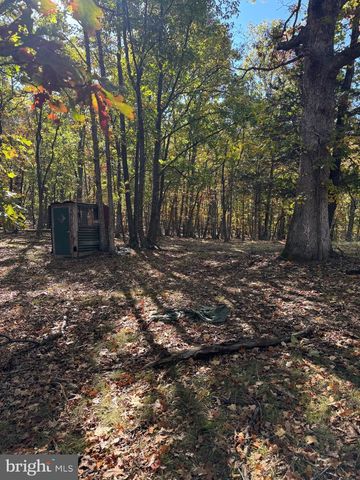 961 ALMOST HEAVEN DR, Petersburg, WV 26847